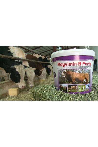 Royal Royvimin B Forte 25 kg Torba