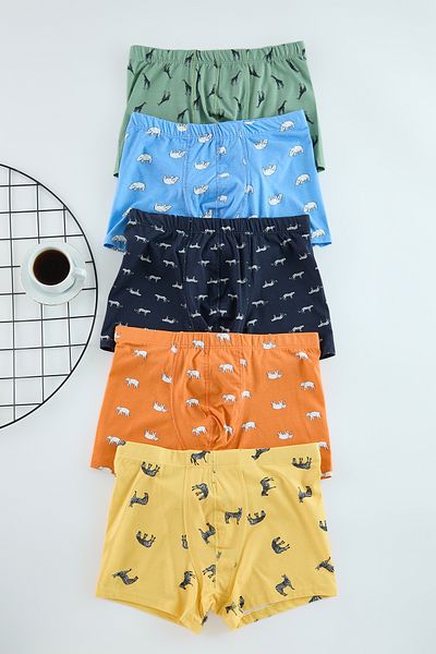 Trendyol Collection Pack of 5 Patterned/Flat Packed Boxers Tmnaw25Bx00002