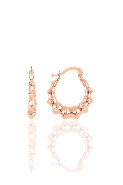 Söğütlü Silver Gümüş Altın Yaldızlı Tırtıl Şarnel Küpe Sgtl10344rose