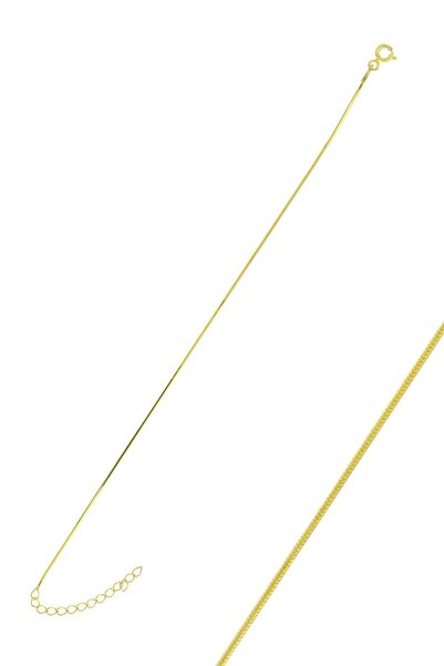 Söğütlü Silver Gümüş Altın Yaldızlı Yılan Zincir Bileklik Sgtl10518gold