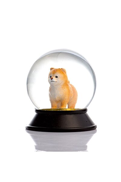SNOOWG Cam Ve Reçine Altın Patiler Köpek Pomeranian Boo (KAYISI) Kar Küresi K...