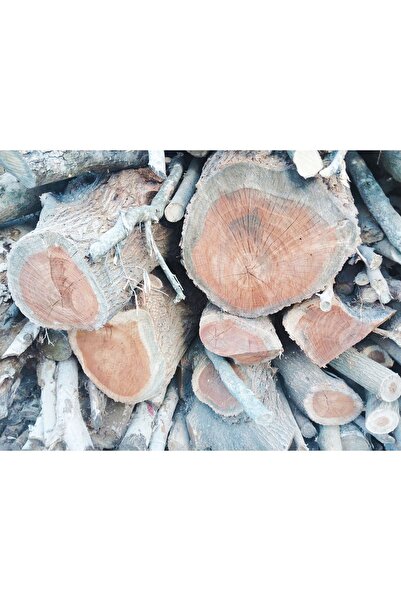 Handmade Epoksi dogal kütük sehpa kütük zeytin agaci kütük