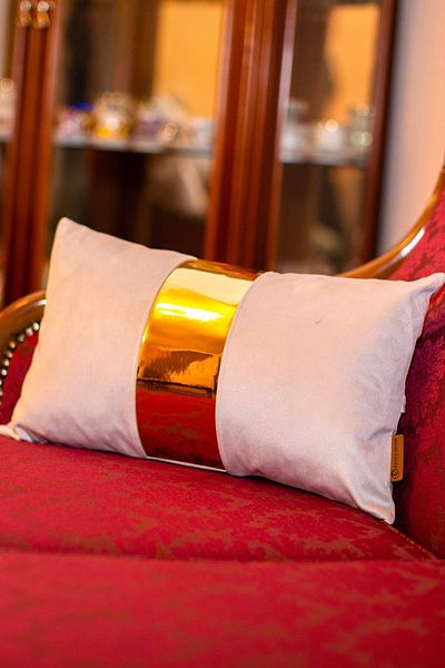 Rayda Home Velvet Cushion Cover with Gray / Gold Shiny Leather Detail