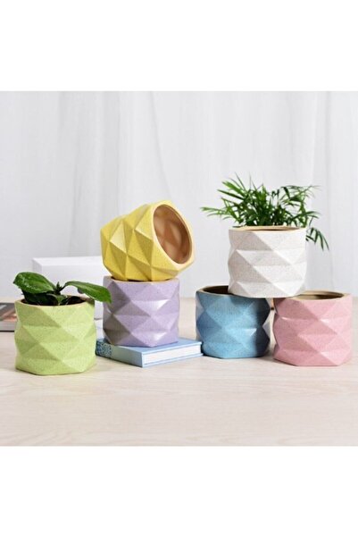 Genel Markalar El Yapımı Dekoratif Prizma 6'lı Sukulent, Kaktüs Saksı Seti