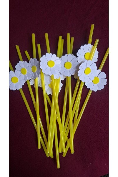 Büşra Süsleme PAPATYA TEMALI DOĞUM GÜNÜ PİPETİ 10 ADET