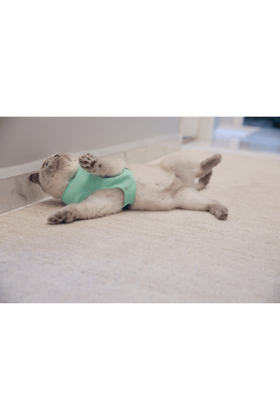 GoPawGo Shelby Soft Kedi Göğüs Tasması