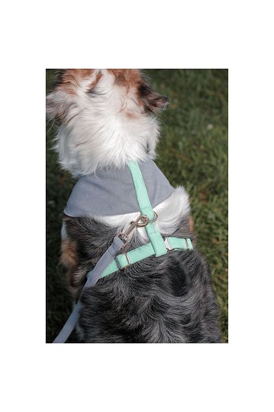 GoPawGo Alf Soft Dog Chest Collar Set