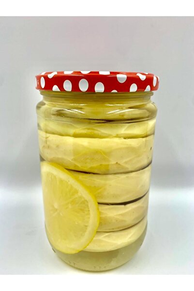 KARYA ENGİNAR&GIDA Çanak Enginar Konservesi 660 cc