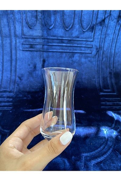 Paşabahçe 6-Piece Raki Glass