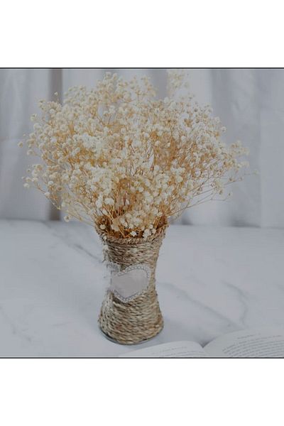 Basic Creation Λευκή Κρέμα Ποιότητας - Ζωντανό Άνθος Βάζου που δεν χυθεί