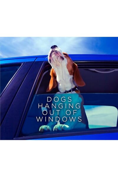 Hachette الكلاب تتدلى من النوافذ