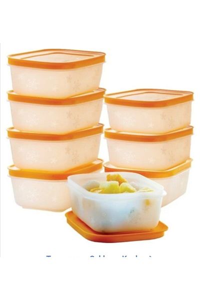 Tupperware 8-Piece Orange Lid Ware Freezer Set - Alaska