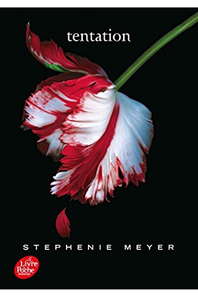 Hachette Saga Twilight Tome 2 Tentation