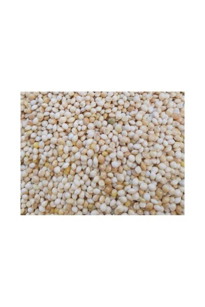 Gold Wings Ak Darı Kafes Kuşları Ortak Yemi 1 kg