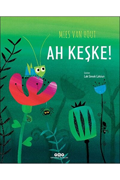 Yapı Kredi Yayınları Ah Keşke! - Mies Van Hout Ah Keşke! Kitabı" -