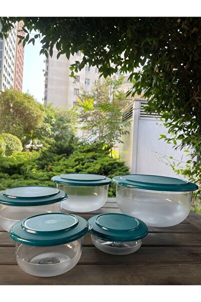 Tupperware Crystal 5-Piece Storage and Service Container