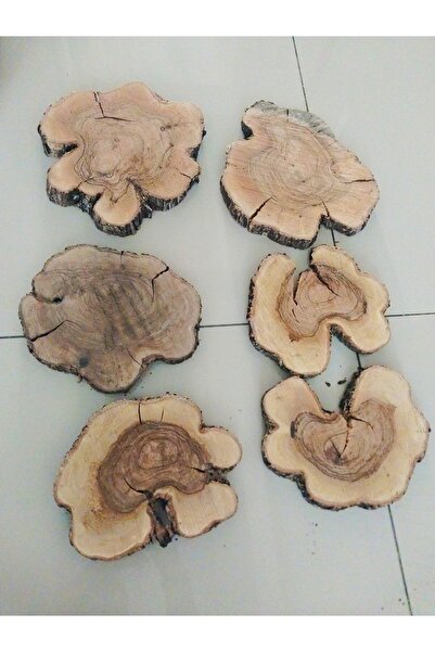 Handmade 6mm Zeytin Agaci Kütük Epoksi Kütüğü Dogal Kurutulmuş Kütük 4 Parca