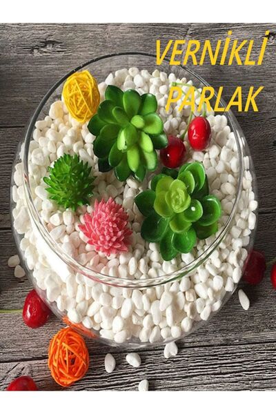 Genel Markalar Vazo Bahçe Teraryum Saksı Dekorasyon Taşı - Vernikli Tozsuz Parlak Dolomit Taşı 500gr 1-2 cm