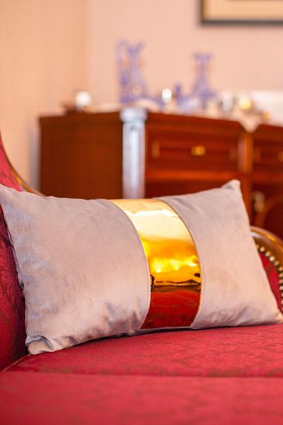 Rayda Home Velvet Cushion Cover with Gray / Gold Shiny Leather Detail