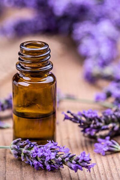 Lavender Incense Holder & Candle Essence 20ml