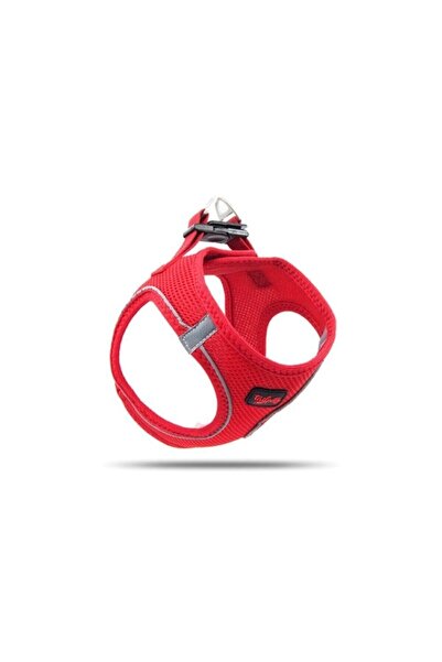 Tailpetz طوق كلب صغير الحجم باللون الأحمر