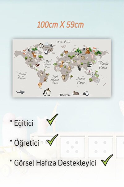 MSticker Eğitici Dünya Haritası Sticker - Çocuklar Için Dünya Haritası