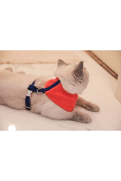 GoPawGo Norwick Soft Cat Chest Collar Set