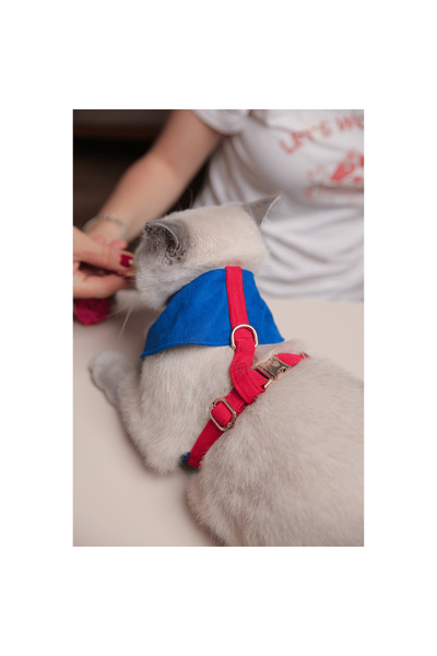 GoPawGo Supreme Soft Kedi Göğüs Tasması