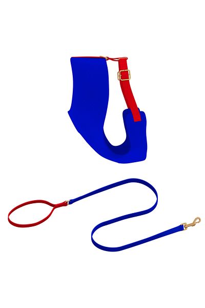 GoPawGo Sirius Soft Cat Chest Collar Set