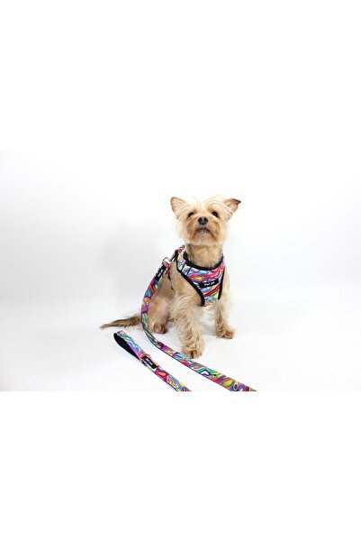 Jimi pet Air-mesh Tasma Seti Pastel Model