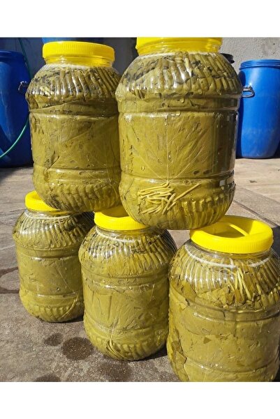 ANNEMİN MUTFAĞI Manisa Taze Salamura Bağ Yaprağı 10 Kğ