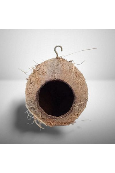 Dogus Kuş Evi Coconut Bird Nest