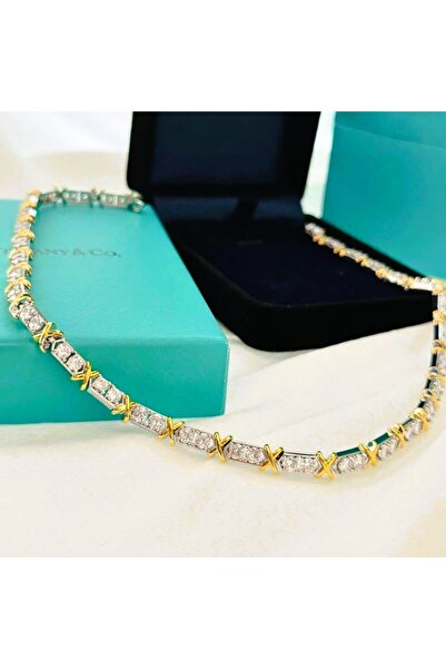 stainles steel قلادة من الفولاذ