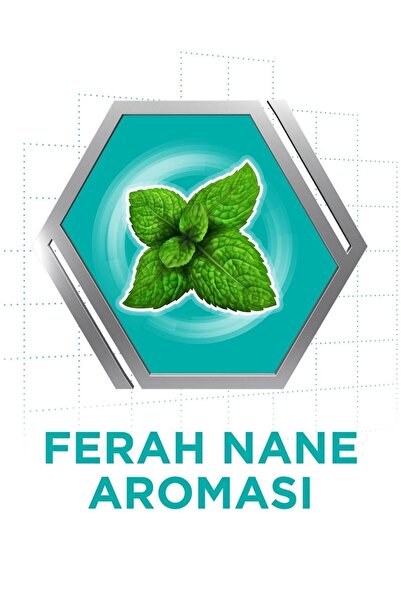 Corega Süper Protez Yapıştırıcı Krem Naneli 40gr + Cleanser Bio Temizleme Tableti 30'lu