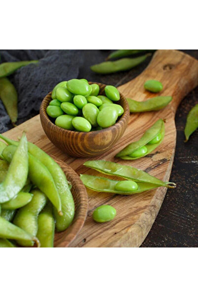 ZENGARDEN EV VE BAHÇE Edamame fasulye tohumu Besweet