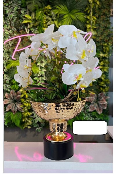 PONCİKPAZAR زهرة مع مزهرية اصطناعية