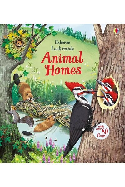 Usborne Look Inside Animal Homes