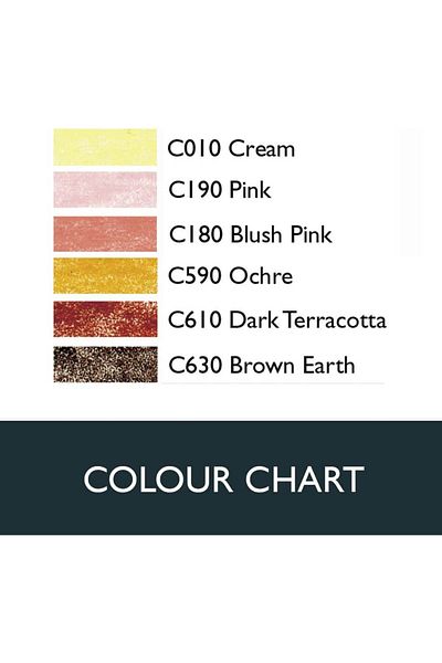 Derwent Coloursoft 6-Piece Skin Tones Colored Pencil Drawing Set / 2300217