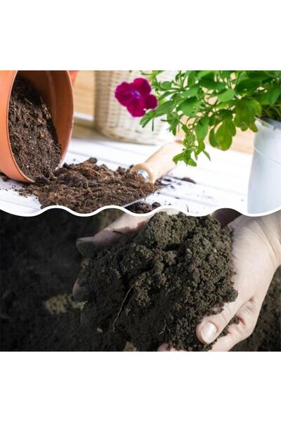 Mimoza Bitki Market Humuslu Özel Çiçek Toprağı 12,50 kğ