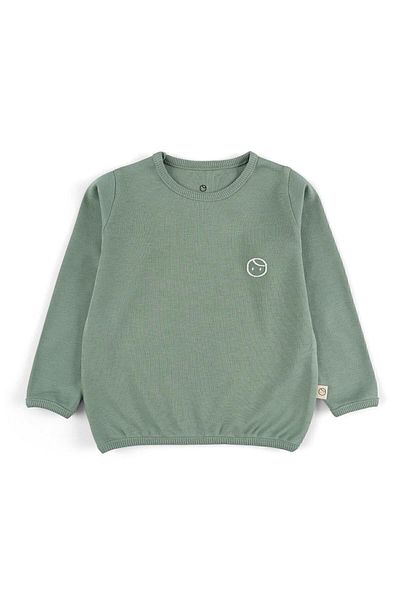 Little Gusto Organic Cotton Sweatshirt Green