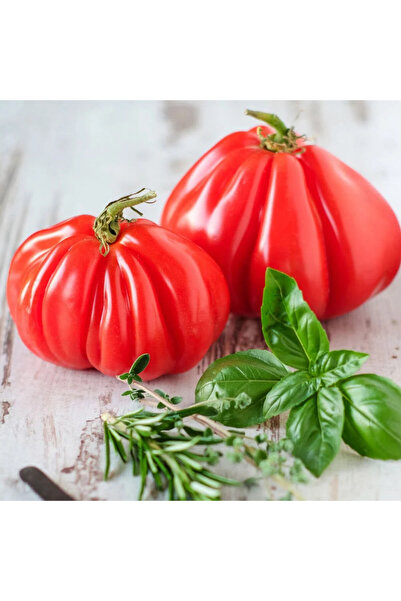ZENGARDEN EV VE BAHÇE Yürek Domates Tohumu Atalık Italyan Cuor Di Bue Tomato