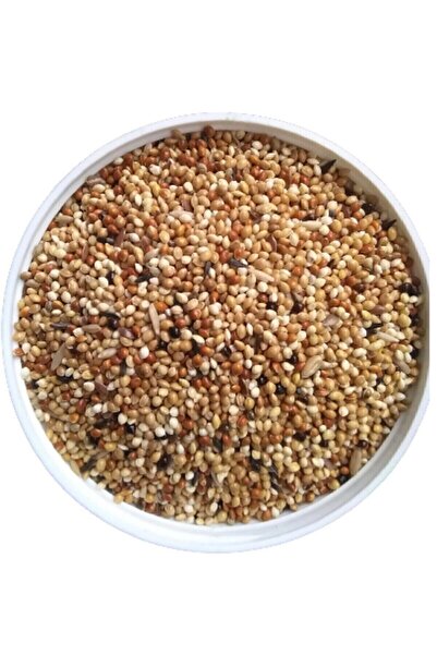 Vivid Üretici Muhabbet Kuşu Yemi 5kg