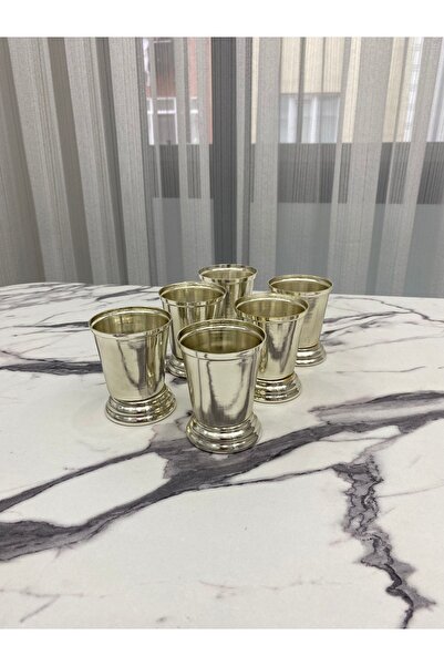 NEWTREND Züccaciye 6'lı Gümüş Sunumluk Gül Kovası (Çiçeksiz)