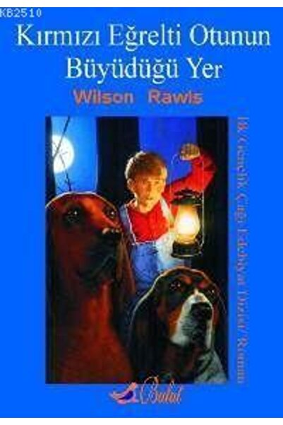 Bulut Yayınları Kırmızı Eğrelti Otunun Büyüdüğü Yer