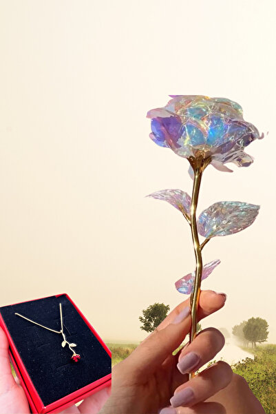 Saltos Solmayan Gül Ve Kırmızı Gül Kolye Hediye Seti Doğum Günü Hediyesi Kutusu Sevgiliye Arkadaşa Set