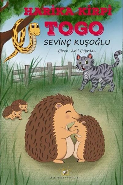 Akıl Fikir Yayınları Togo