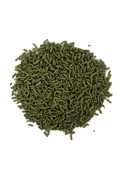 AMORE Turtle Green Sticks 125 Ml + Lotus 100 Ml Su Kaplumbağası Yemi Ve Vitamin Seti