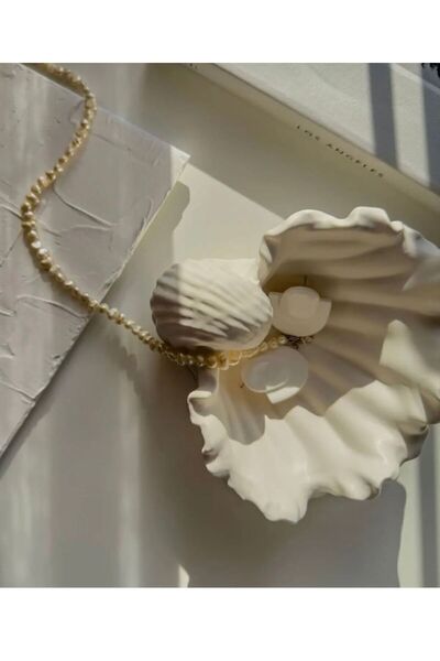 LİNECRAFT Okyanus Kabuğu Şeklinde Dekoratif Kase Mumluk obje