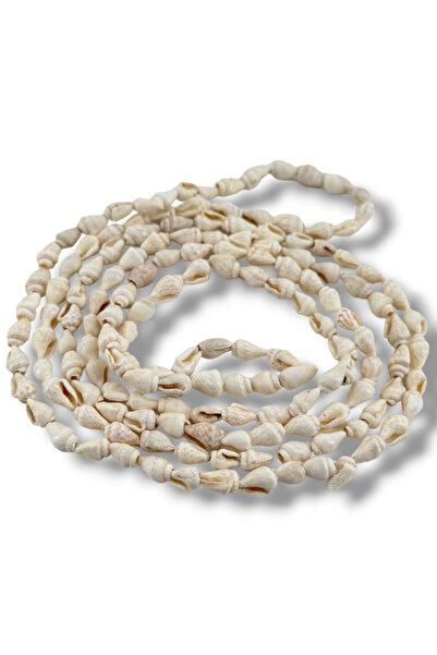 Selvi Konsept Doğal Deniz Kabuğu Nassa Shell Krem 6-10 Mm 1 Dizi 136 Cm