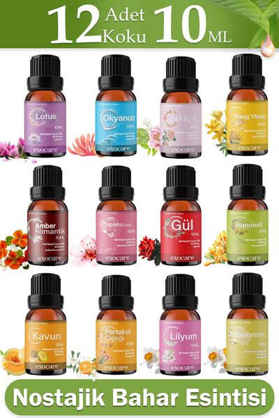 exocare 12 li Set6 Esansiyel Uçucu Yağı Buhurdanlık Difüzör Esansı oda parfüm...